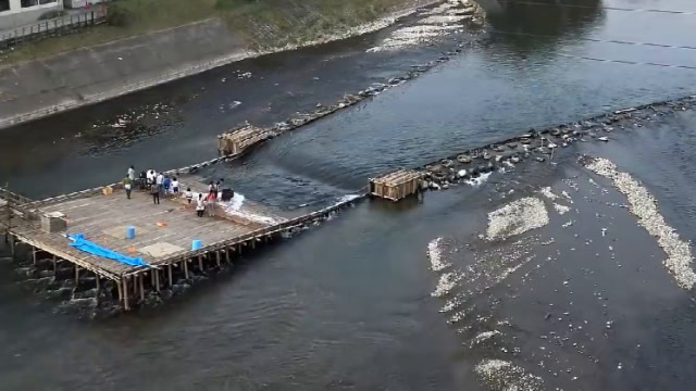 你听说过"鱼梁"吗?这种古老的捕鱼方式足以媲美现代捕鱼法!