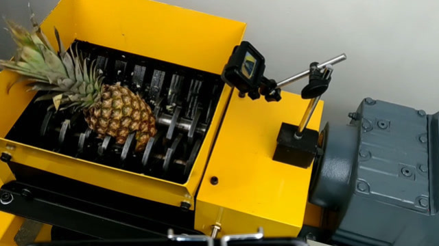 把菠萝放在碎纸机里碾压,汁水四溅,真是太厉害了!