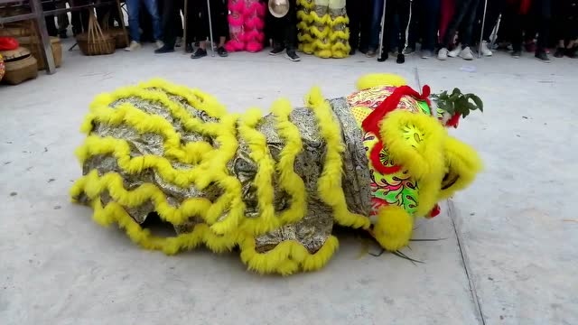 牛逼/廉江舞狮