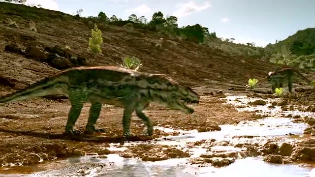 与恐龙同行:后鳄兽遭到同类的驱赶,敌不过对方只好将领地拱手让人