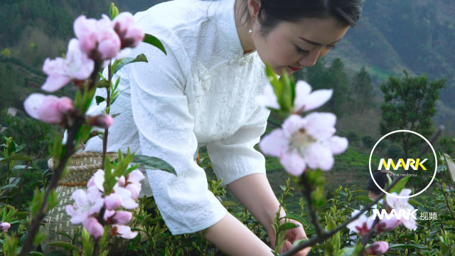 湖北恩施姑娘曾亮相外交部蓝厅,向世界展示中国茶