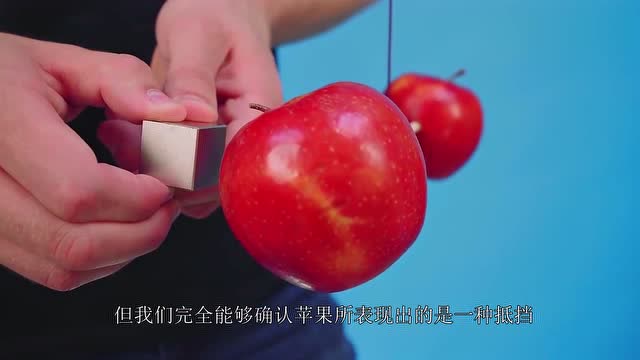 让我们看看吸磁铁有多恐怖?老外用苹果测试,网友直呼:颠覆三观!