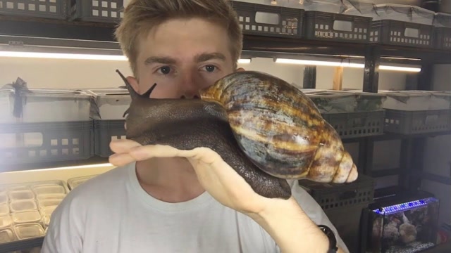男子意外捡到一只"巨型蜗牛",知道真相后,后悔都来不及了!