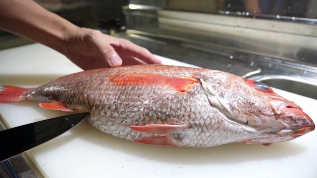 日本小哥花八百元买来条瘪嘴鱼,真是太幸运