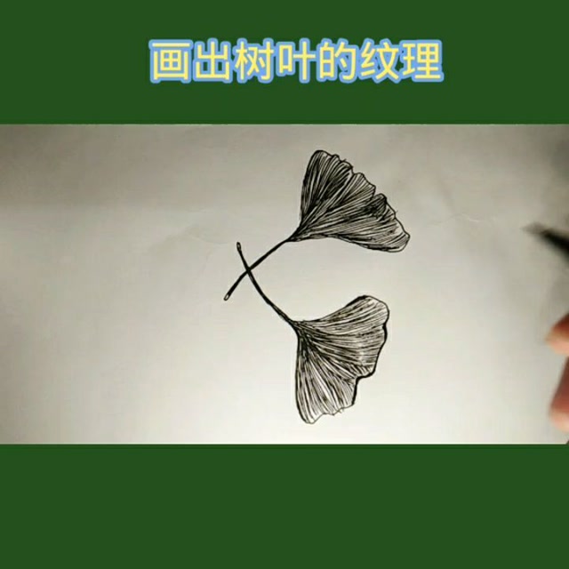 分享十秒画一些纹理 银杏树的纹理图案快来跟着一起画吧