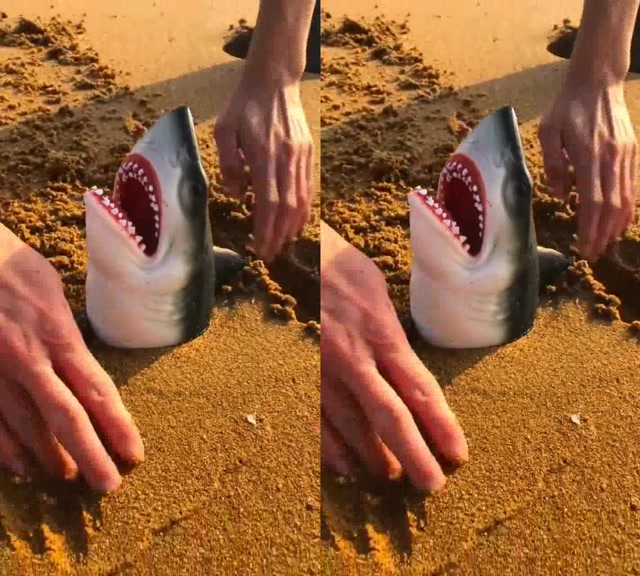 鲨鱼咬手了,我是服了