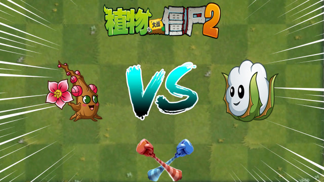 pvz2超z 梅小美vs棉小雪