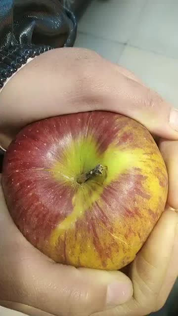 掰开苹果后,它竟然烂透了,为何表面完好无损?