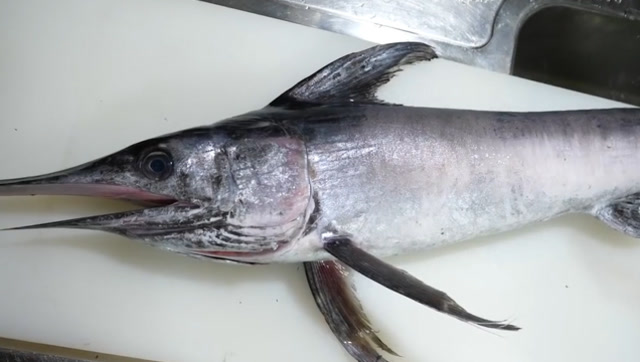 日本大厨料理"旗鱼",嘴上没肉全是骨头,一口下去太过瘾!