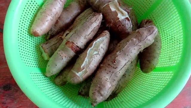 广西农村特产甜薯,粉粉的,你们家乡有吗?是叫甜薯吗?