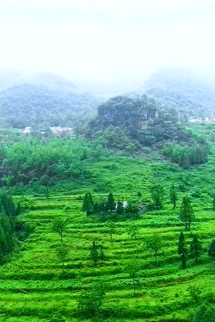 贵州山里一户人家,住在山坡之上,没有车没有大路太惬意了