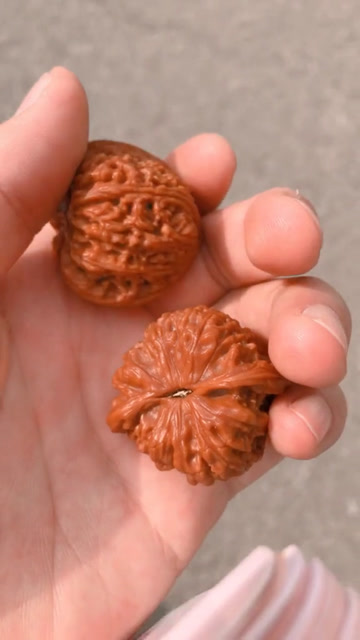 文玩核桃红宝石【密纹】