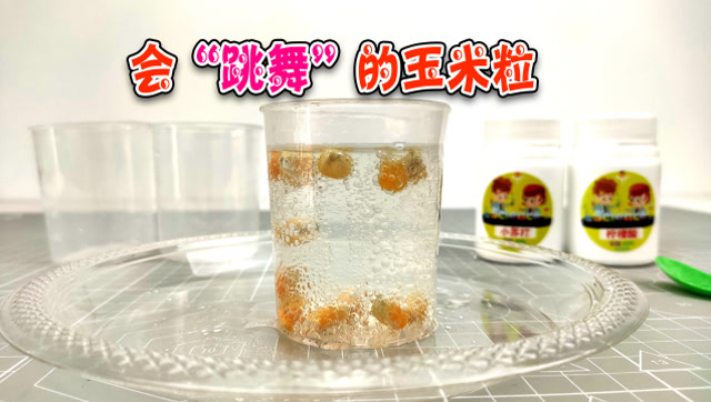 趣味科学小实验:会"跳舞"的玉米粒!