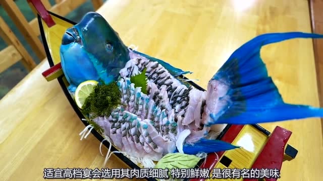 这种鱼被称为拿破仑隆头鱼,整条鱼都被做成刺身,一般人估计吃不起!