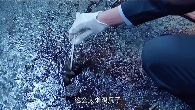 无头案一:过年不敢吃鸡爪了法医秦明悬疑1