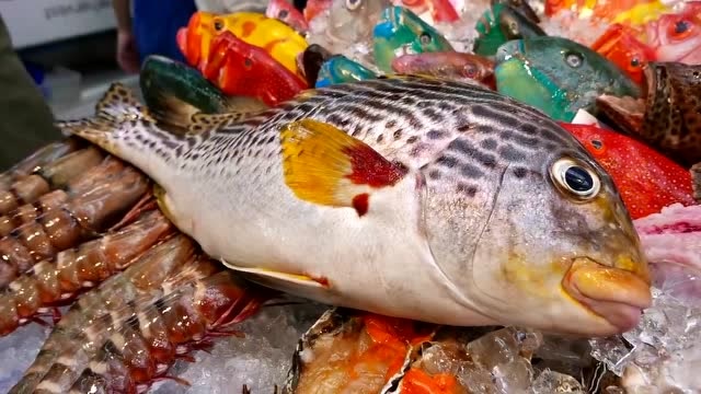 在日本买了一条长着香肠嘴的鱼,不懂什么品种,清蒸还是红烧好?