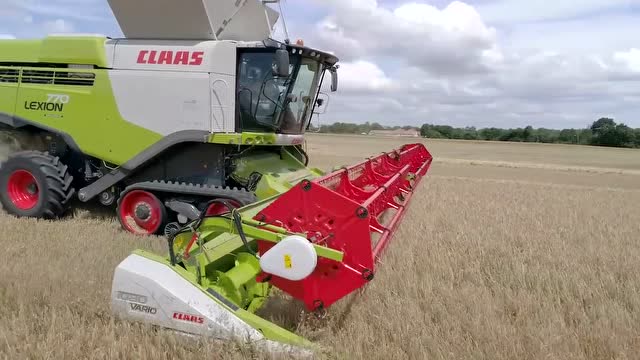 颗粒归仓克拉斯770搭载108米割台收割麦子,拖拉机转运粮仓