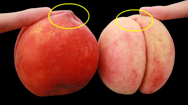 买桃子,就要买"母"的,香甜好吃汁水多,教你诀窍,一挑一个准