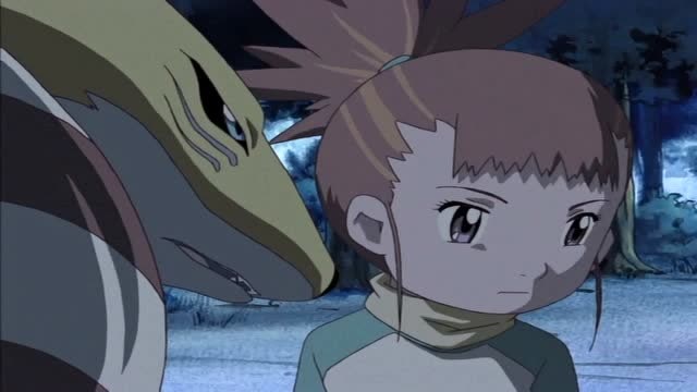 数码宝贝:留姬妖狐兽勉强合作!都不说出心里真实想法!