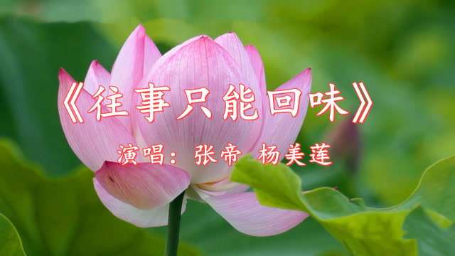 张帝杨美莲一首往事只能回味动人歌声优美景色好听又好看