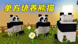 我的世界：建造熊猫养殖基地，露天牧场太好看了！