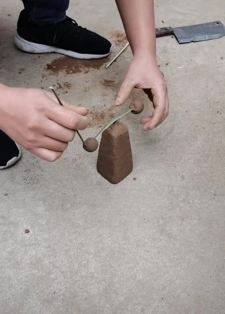 幼时称之为"捻捻转",转起来后,有没有唤起你的回忆?