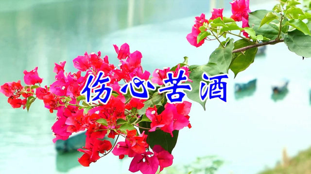 一首伤感情歌《伤心苦酒》句句动情,生活的苦爱情的痛,谁能懂