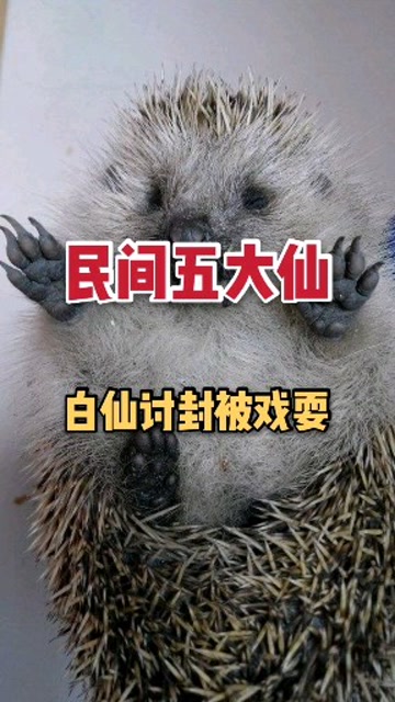 民间五大仙之白仙