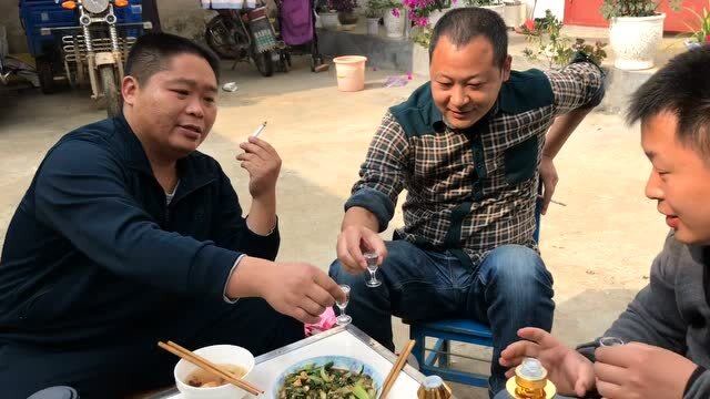 河南农村三老表聚一起吃菜喝酒真美,一次喝6个,划拳都整上了.