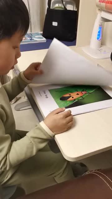 阅读英语绘本countingbugs