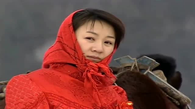 家有九凤:七凤回北大荒,却发现卫平正结婚,尴尬了