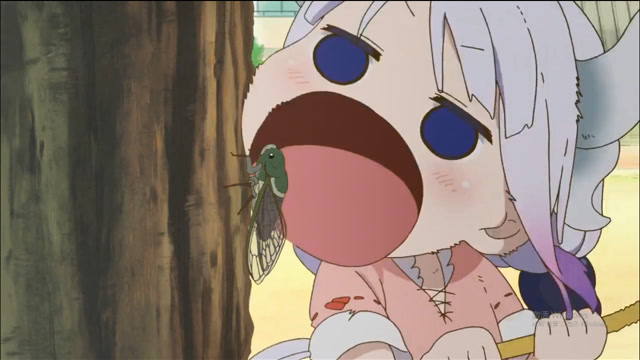 蝉在叫,康娜吃掉