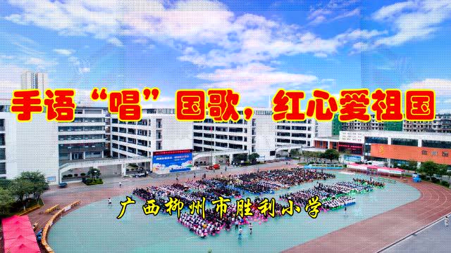 柳州市胜利小学:手语"唱"国歌,红心爱祖国