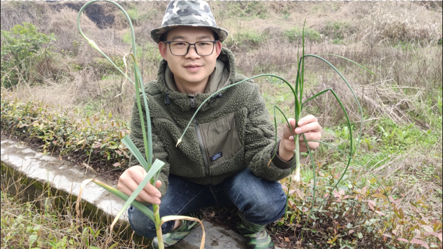 蒜苔&野葱苔最终版