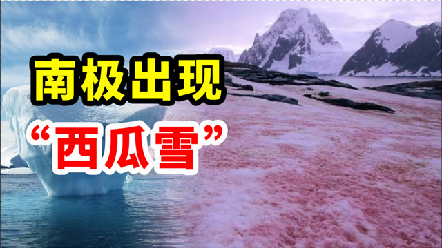 南极再次出现西瓜雪它是如何产生的人类真的该警惕了