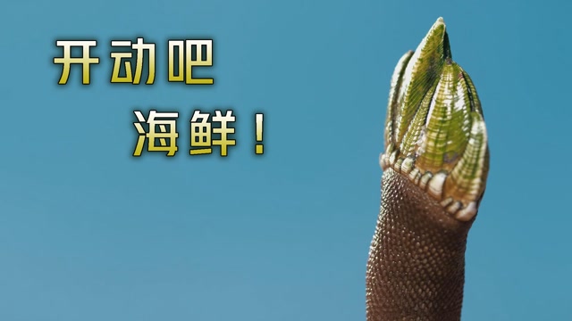 《开动吧海鲜!