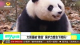 濒危变易危！大熊猫被“降级” 某国宝：我再也不是团宠了吗？