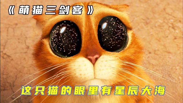 三只小猫穿靴子的猫,猫咪卖萌比拼,打不过也要奶死你