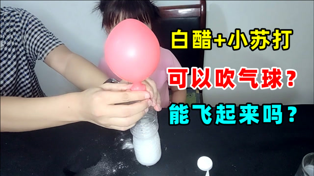 白醋加小苏打竟然可以吹气球?气球能飞起来吗?实验验证一下!