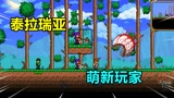 泰拉瑞亚：萌新玩家初体验，跟表姐建房挖矿寻宝，遇到怪物没抗住