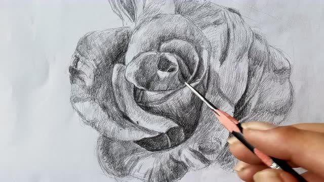 "送你一朵小红花"送给你喜欢的人,教你画超简单素描玫瑰花,教程超详细