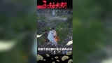 永劫无间隔壁家的猪看了都嘎嘎乱杀之无招胜有招