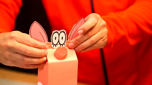 百变纸箱王短片  第44集 漂亮的小猪