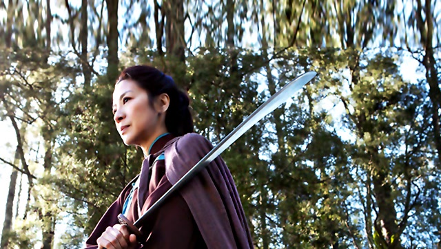 《卧虎藏龙2》四大看点 甄子丹杨紫琼展现真功夫 crouching tiger