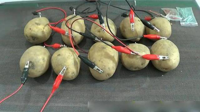 奇趣diy:土豆也能发电 是什么原理