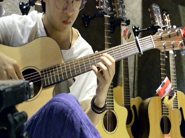 breedlove d25r 何雪阳 waitin waltz