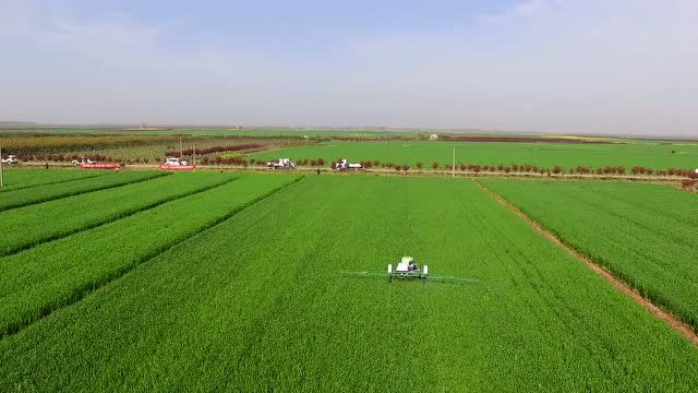 监利大垸农场万亩小麦"一喷三防"--谷瑞特植保