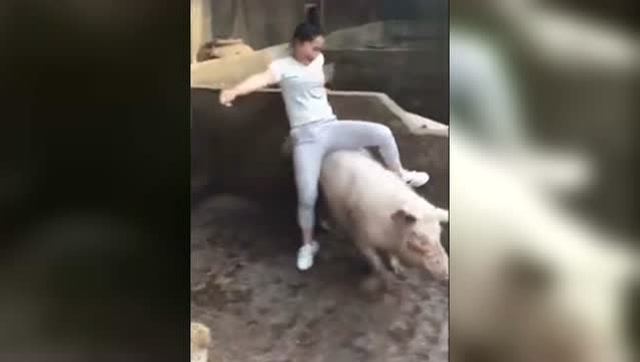 厉害了我的姐,妹子骑猪玩,太嗨了