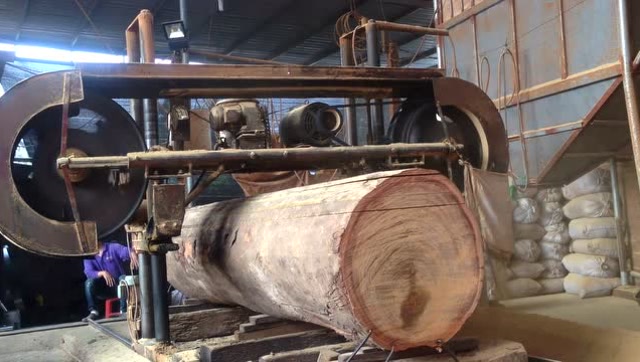 中国民间锯木厂实拍,这台机器太猛了,大型木头分分钟锯成木板