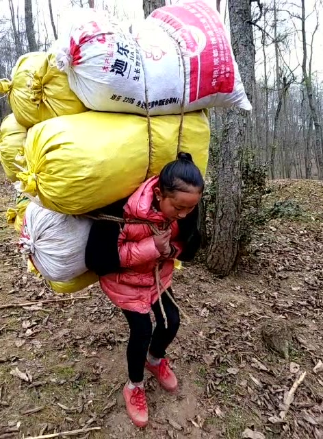 大山深处的12岁女孩一次性扛6个麻袋,看的真扎心